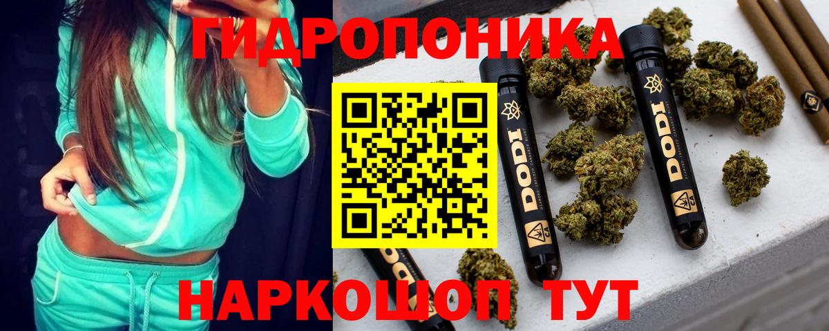 Шишки марихуана ГИДРОПОН Луга